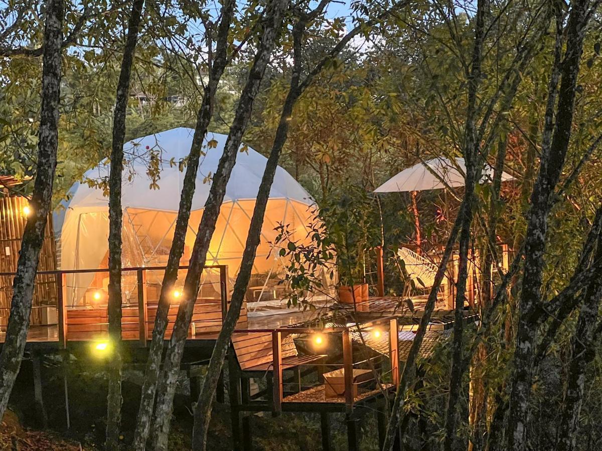 Solana Glamping Hotel Pereira Eksteriør billede
